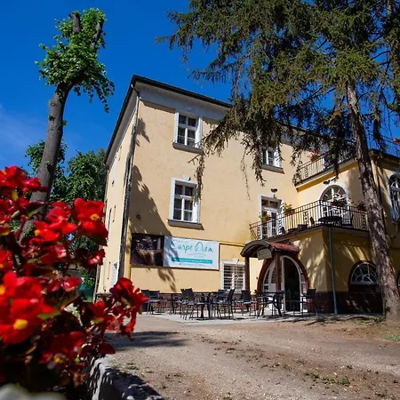 Hotel Carpe Diem Hotel
