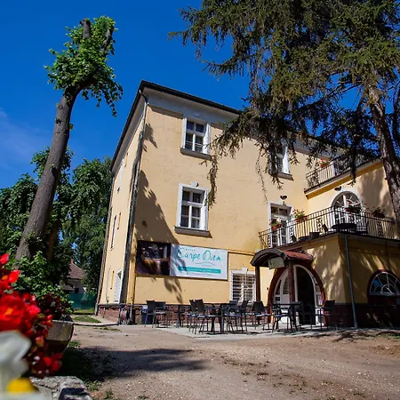 Hotel Carpe Diem 3* Siofok