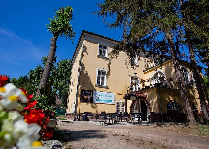 Hotel Carpe Diem 3* Siofok